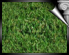 D3~Grass Floor 2