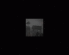 UNATURAL AMBIENT NATURE