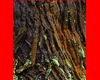 Mossy Oak Tree 2