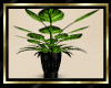 QT~Stylish Leaf Vase