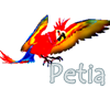 PETIA - PARROT PET