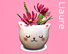 🤍 kawaii kitty plants