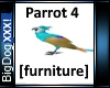 [BD] Parrot 4
