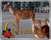 Christmas Anm Deer