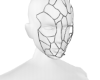 Chromium Face Mask