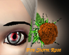Fire Storm Rose