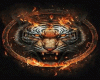 Fire Tiger Top