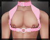 + Collar Harness Candy