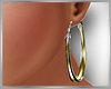 ☆ Leatha Hoops V2 (F)
