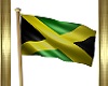 ANI. JAMAICAN FLAG