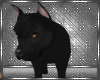 BLACK PET PITTY