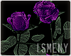 [Is] Purple Rosebush
