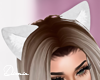Kitten Ears White
