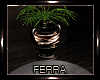 ~F~Mirage Vase Plant
