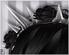 ₪ rose crown | black