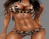 {LA} Leopard bikini