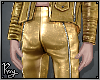 Gold Metallic Pants