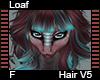 Loaf Hair F V5
