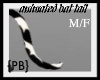 {PB}Bat Tail M/F