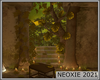NX - Lost Woods