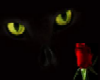 Black Cat Red Rose