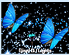 ***Dj Light Butterfly***