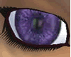 Deep Purple Iris Eyes