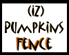(IZ) Pumpkins Fence