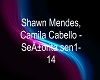 DWH Shawn Mendes, Camila