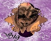 [sig] DnL wing Tattoo