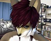 Dexter's Hair