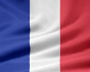 ~N~French Walkoff Flag