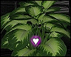 B♥ HOME DECOR