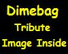 {AGOW} Dimebag Tribute