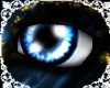Blubber Eye Blue [SB]