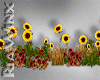 Sunflower Patch