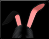 ∘ Black Bunny Ears