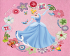 babr cinderella rug