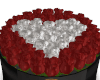 S. Boundhaus Roses IV