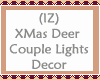 Deer Couple Lights Decor