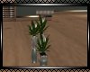 **Infinity Potted Plant