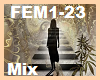 Une femme... Mix