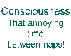 Consciousness - (dgreen)