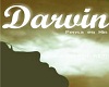 Darvin - Pense em mim