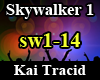 Skywalker 1