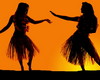 Dance Hawaii XB