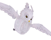 white owl + ATT + Fly