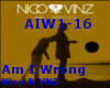 [R]Am I Wrong-Nico & Vnz