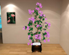 plants/pot