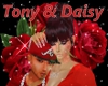Tony&Daisy4eva